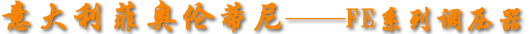 FEϵ{